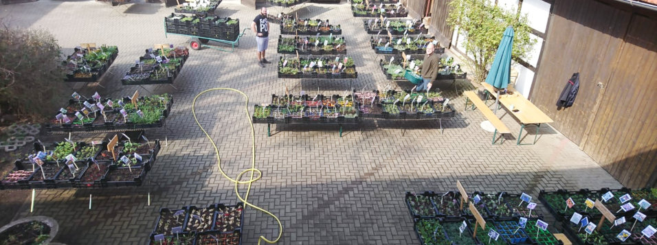 Vogelperspektive -Innenhof-