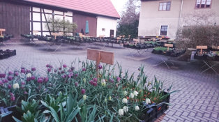 Blick in den Innenhof (1)