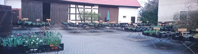 Blick in den Innenhof (2)